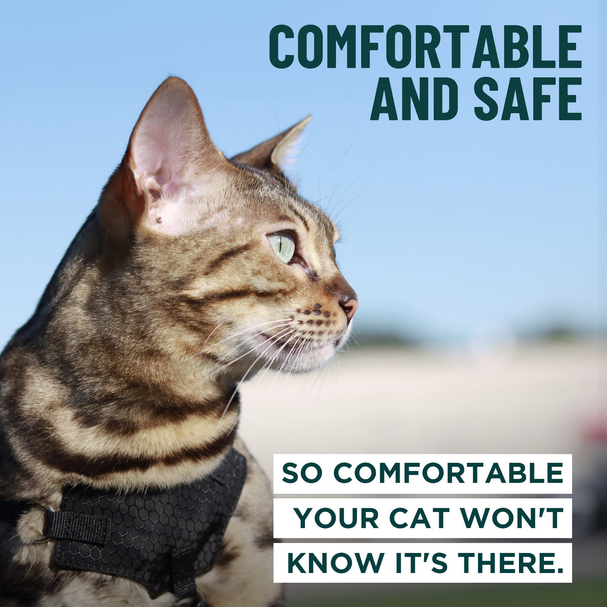 Houdini™ Escape Proof Cat Harness - OutdoorBengal