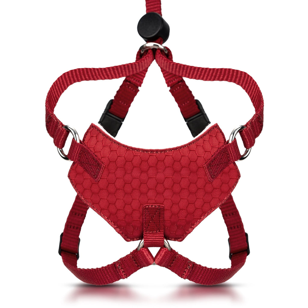Houdini™ Escape Proof Cat Harness - OutdoorBengal