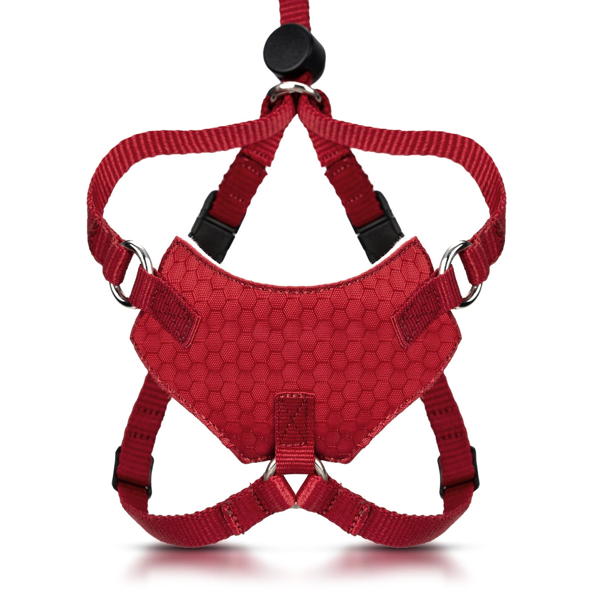 Houdini™ Escape Proof Cat Harness - OutdoorBengal