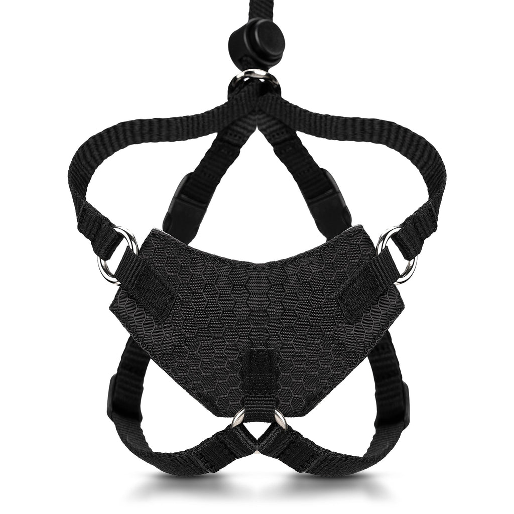 Escape-Resistant Cat Harness and Leash Set, KITTEN / Charcoal Black