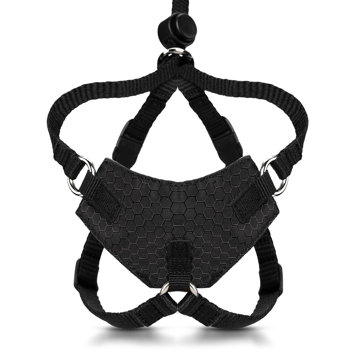 Escape-Resistant Cat Harness and Leash Set, KITTEN / Charcoal Black