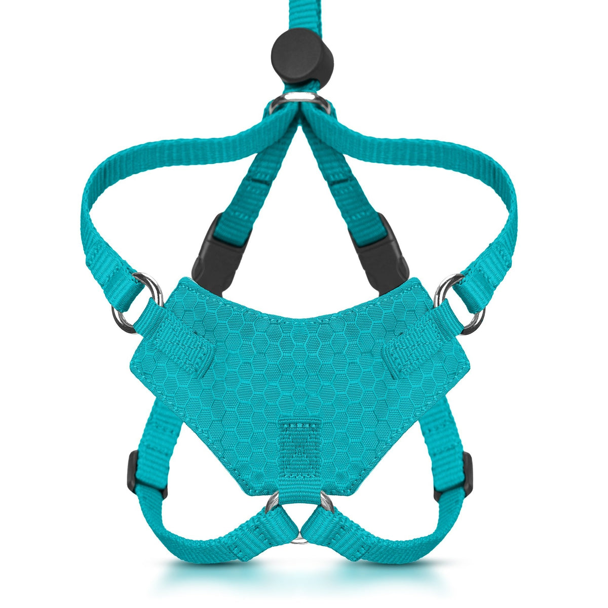 Escape-Resistant Cat Harness and Leash Set, KITTEN / Turquoise