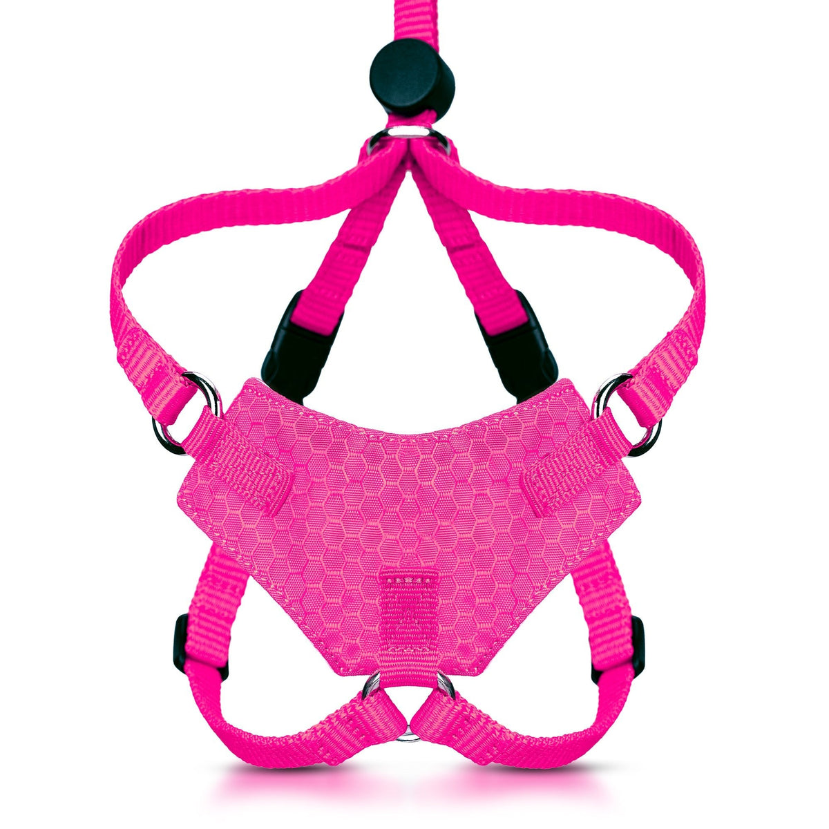 Escape-Resistant Cat Harness and Leash Set, KITTEN / Flamingo Pink