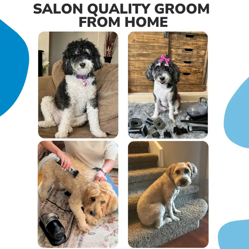 Five-in-One Pet Grooming Vacuum Kit product image 5