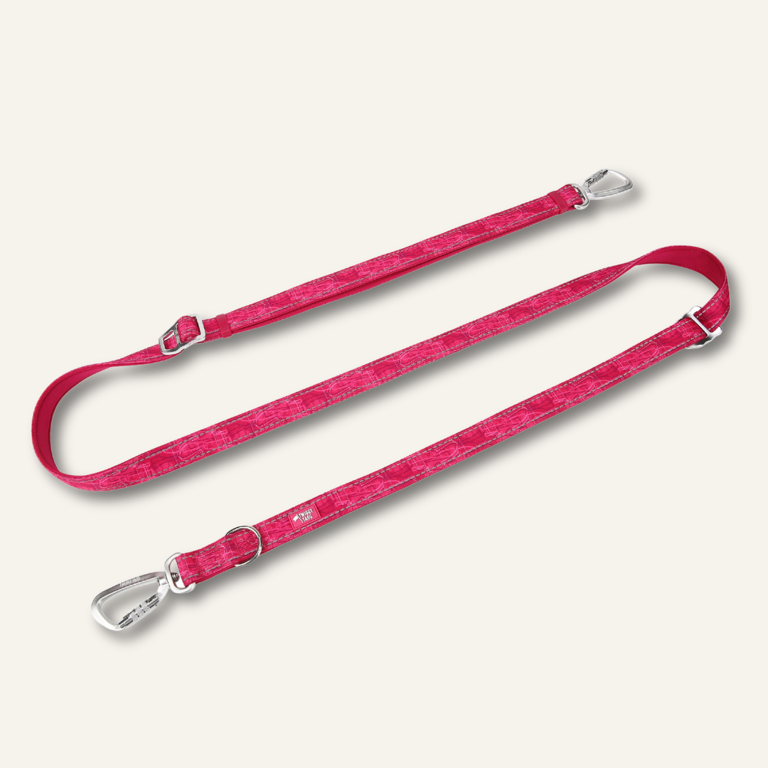 Adjustable Multi-Way Dog Leash Sakura