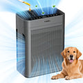 Air Purifier with H13 HEPA Filter, 2500 Sq Ft Coverage, PM2.5 Sensor, 22dB Mode and Two Colors