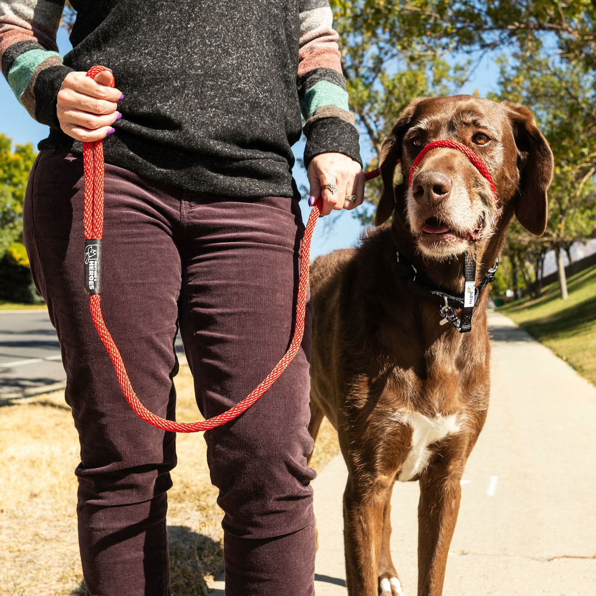 Three-in-One No-Pull Dog Training Leash, Red / Regular (3/8") / 6 Foot