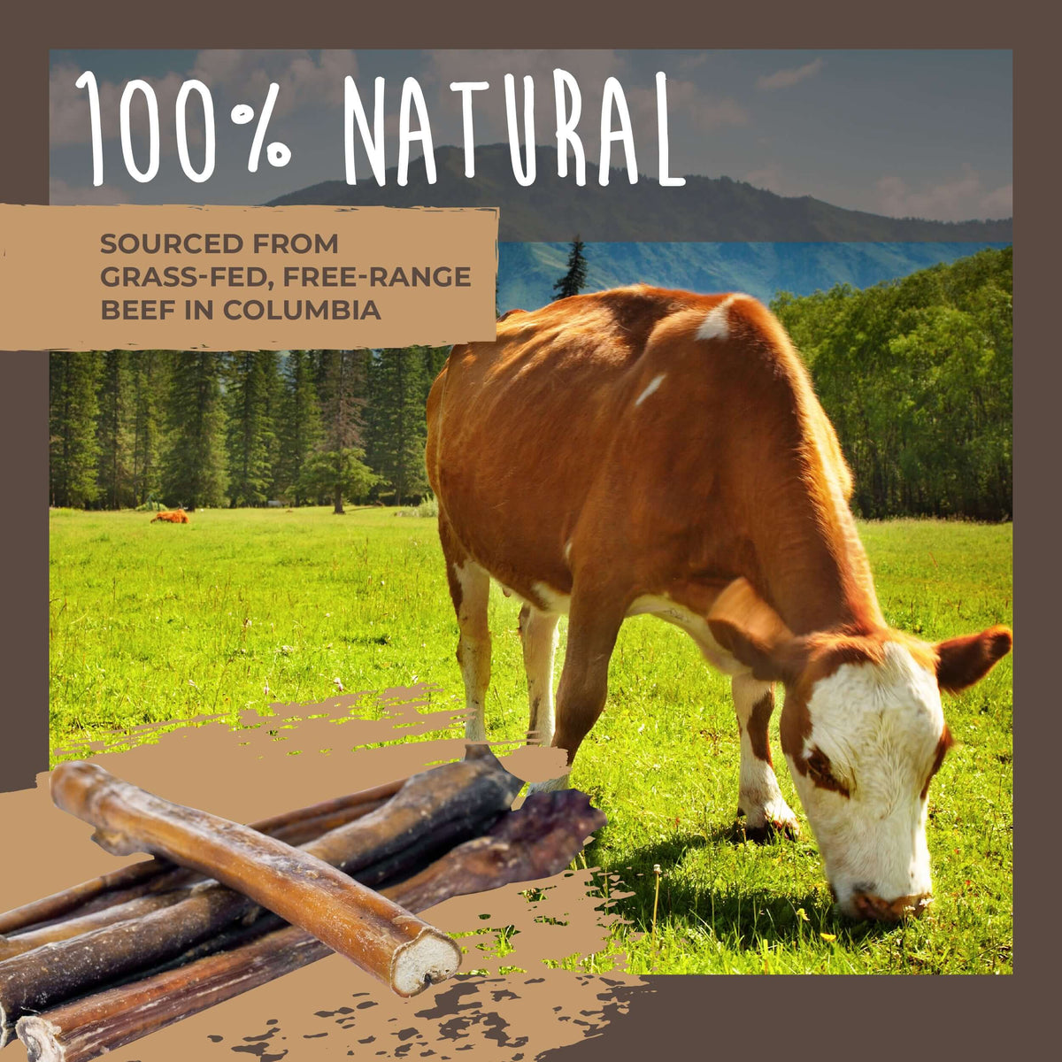 All-Natural Bully Sticks