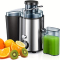 Two-Option Centrifugal Juicer Listing with Distinct Ordinary Paragraph and Juicer Body Mappings