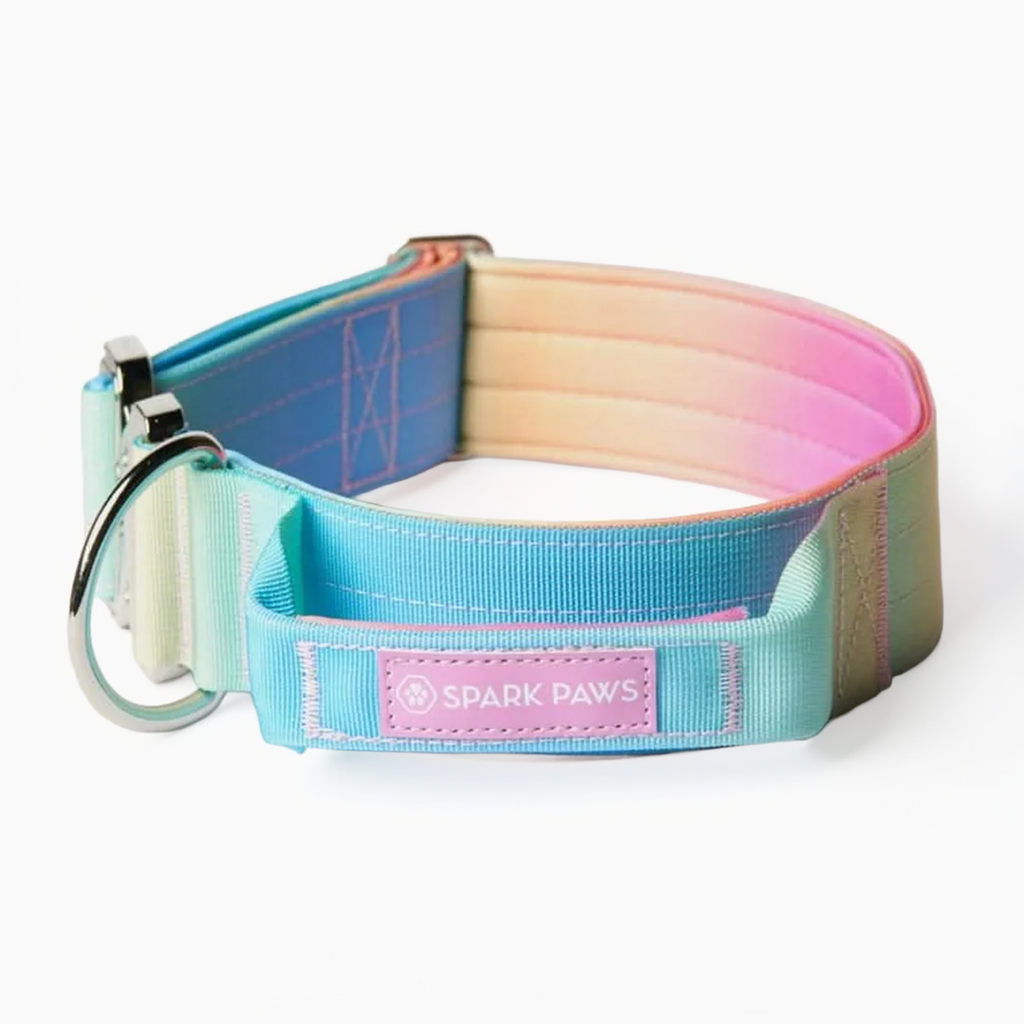 Control-Handle Dog Collar 2"/5cm / S