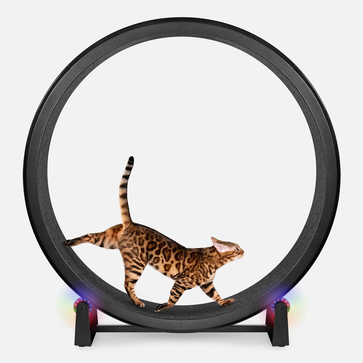 Cat Exercise Wheel product image 4