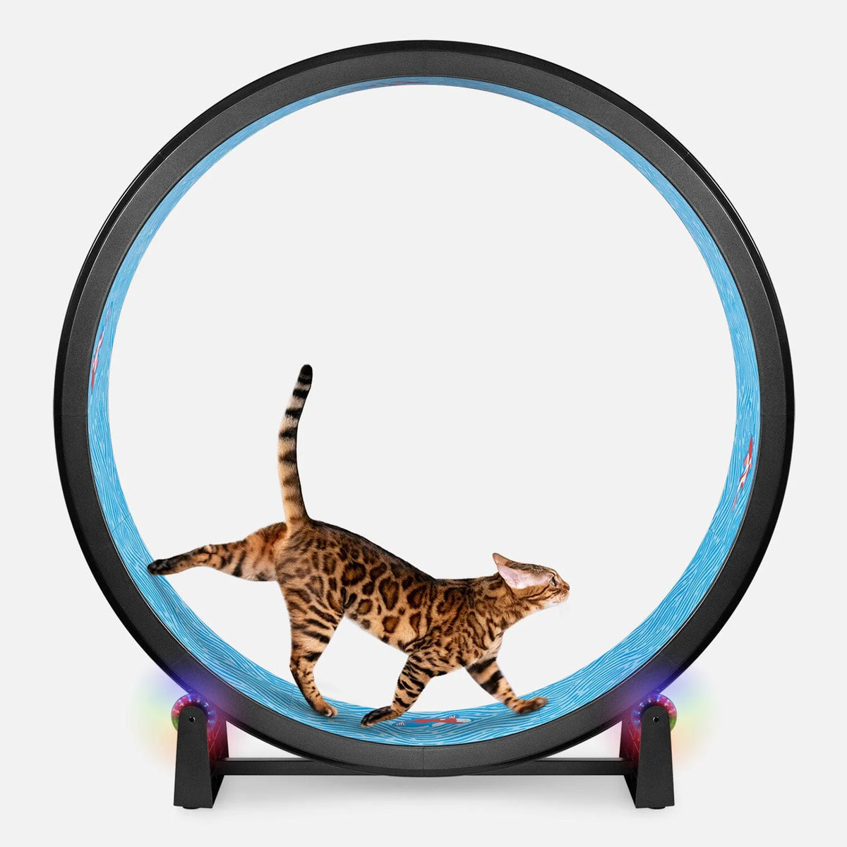 Cat Exercise Wheel product image 6