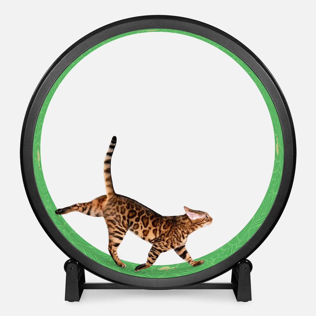 Cat Exercise Wheel product image 7