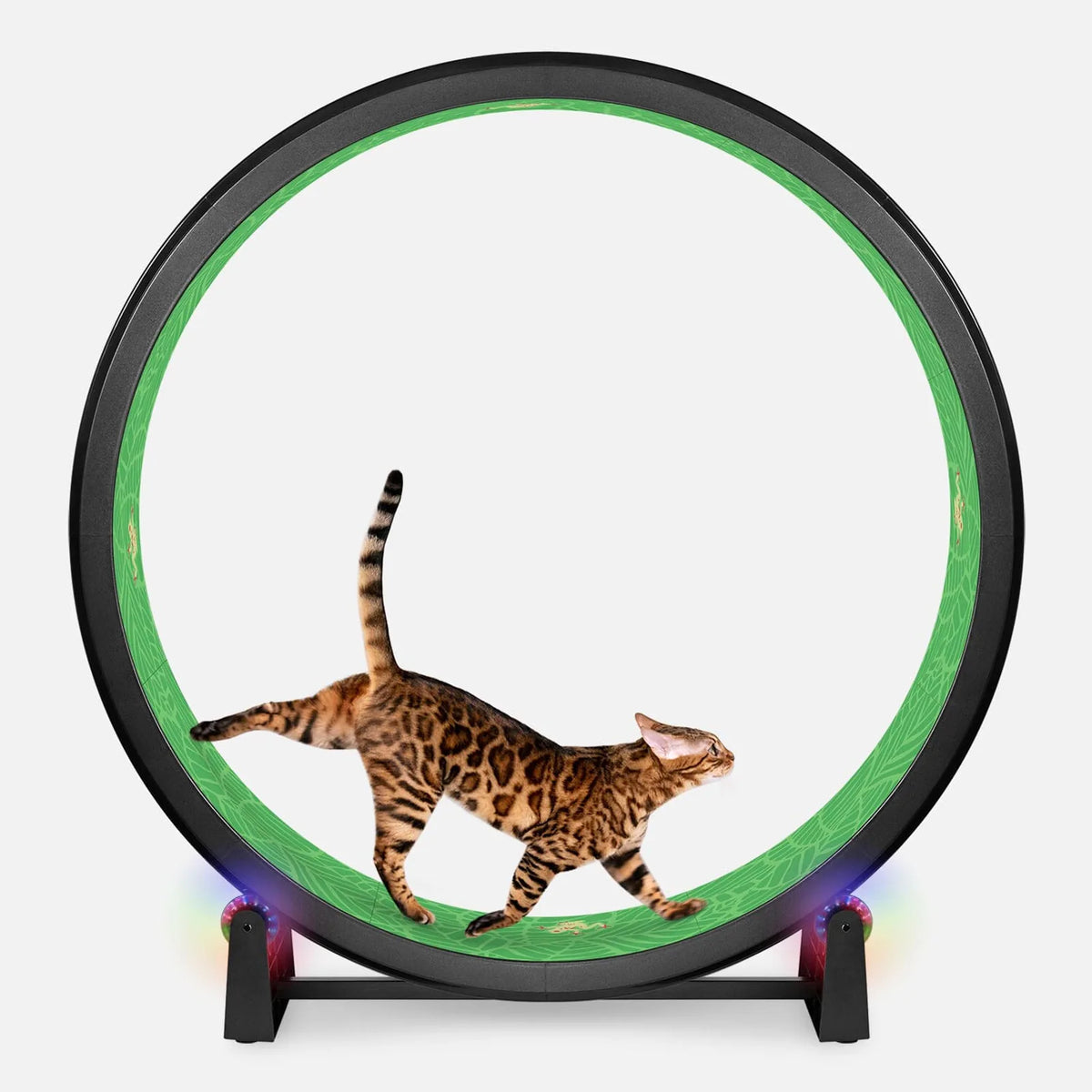 Cat Exercise Wheel product image 8
