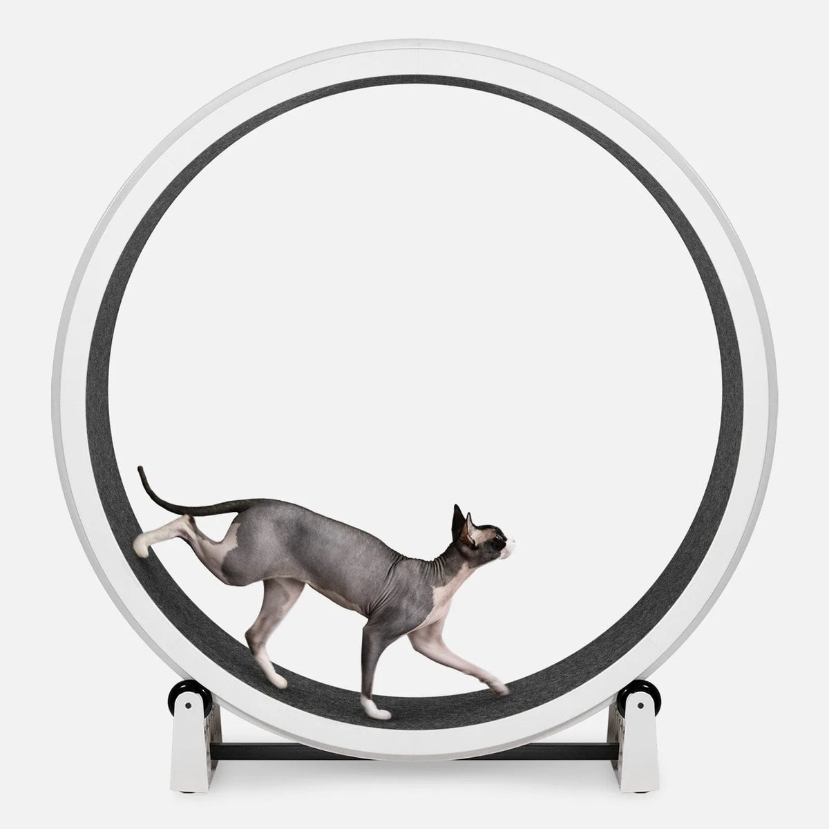 Cat Exercise Wheel product image 9