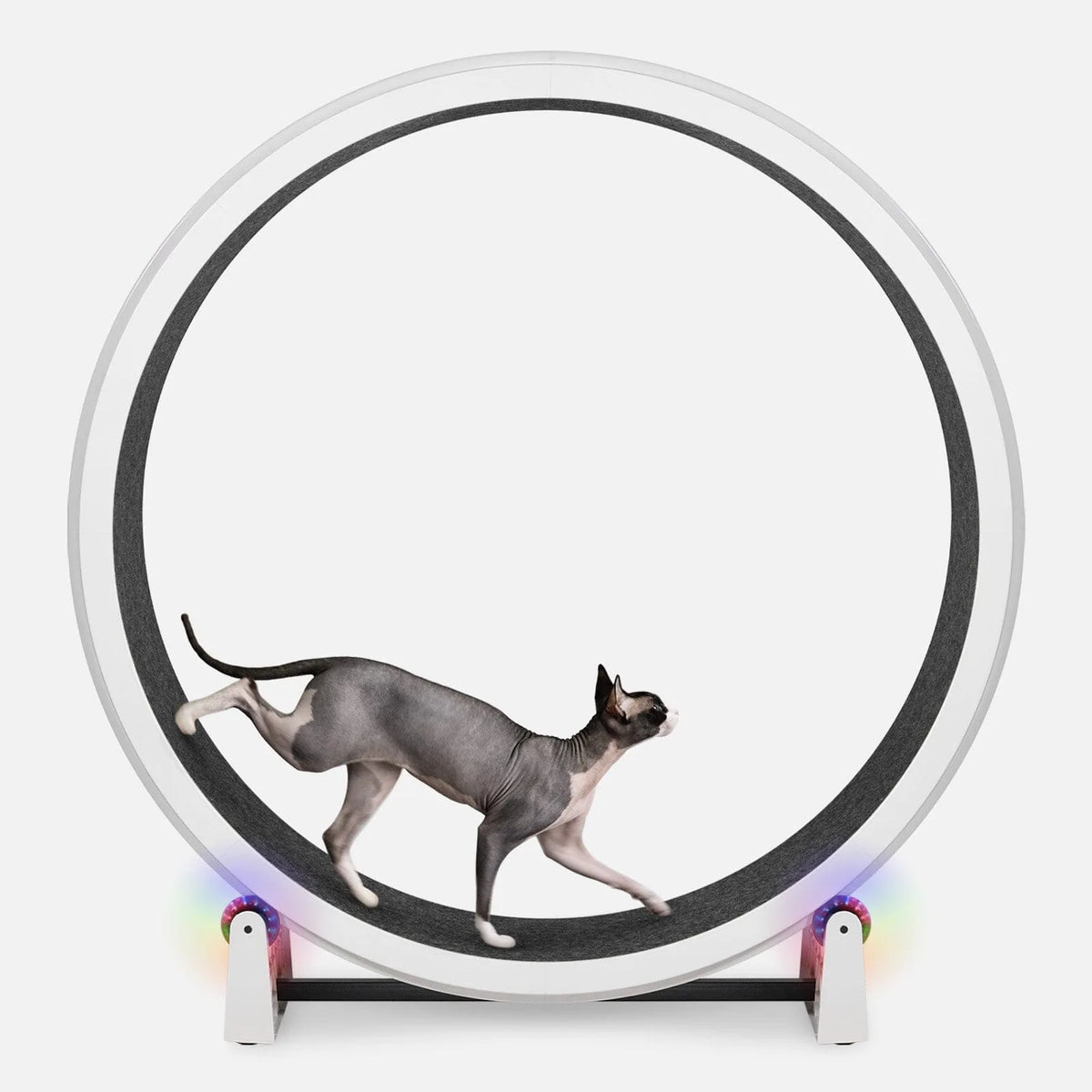 Cat Exercise Wheel product image 10