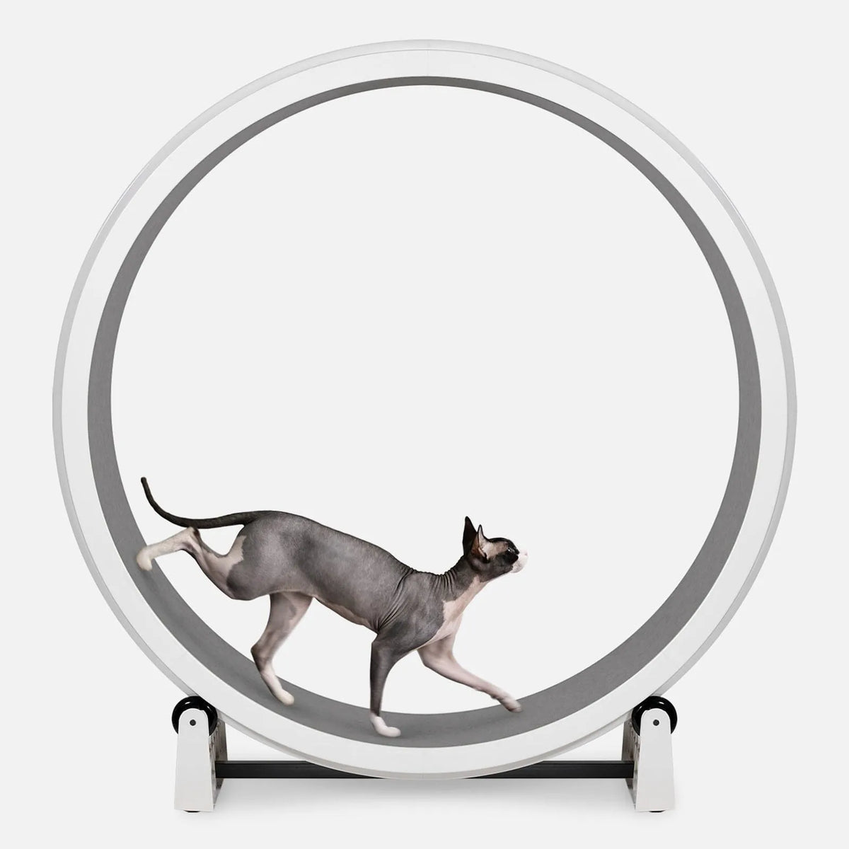 Cat Exercise Wheel product image 11