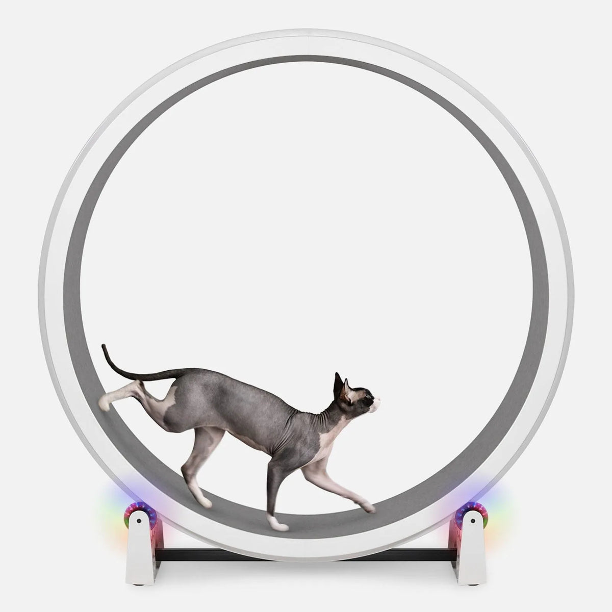 Cat Exercise Wheel product image 12