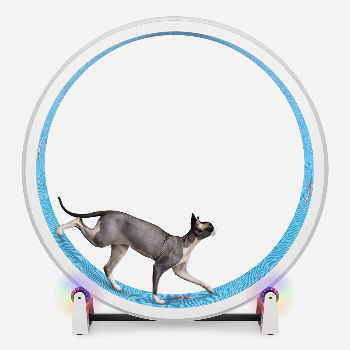 Cat Exercise Wheel product image 14