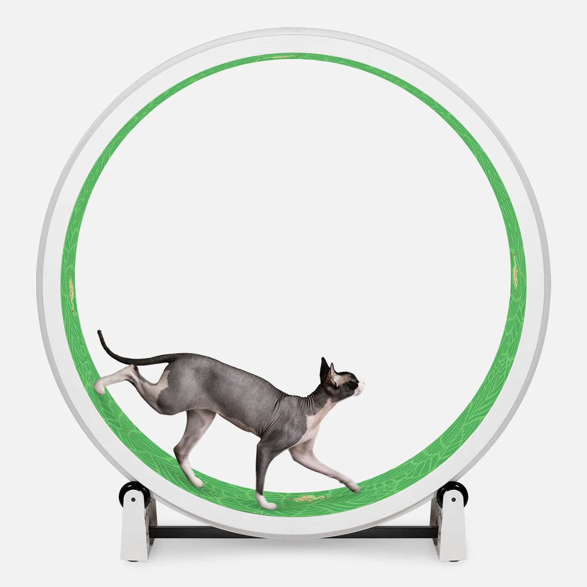 Cat Exercise Wheel product image 15