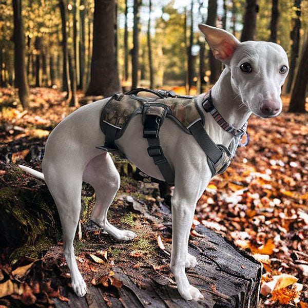 Three-Strap Escape-Resistant Dog Harness, XS (eg. IGH or Small Puppy) / Snake Camo