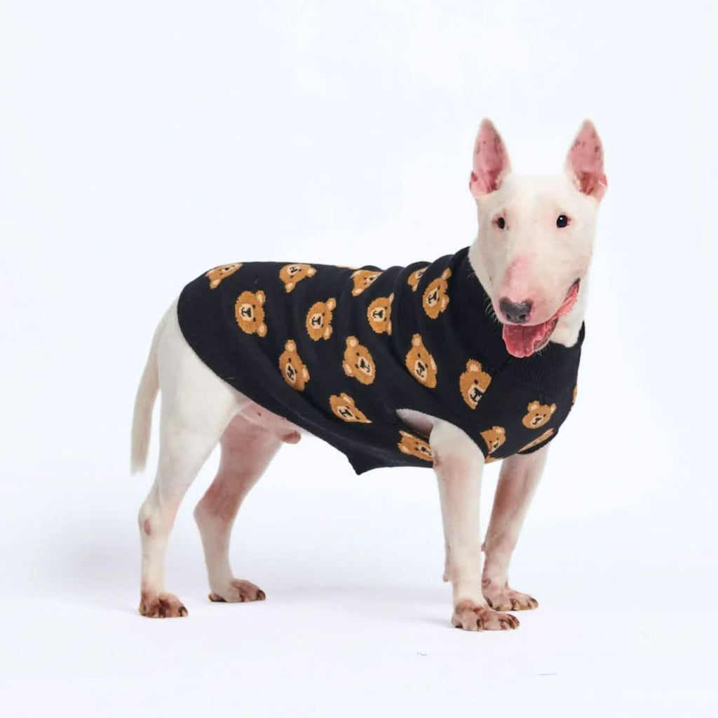 Black Teddy Bear Knit Dog Sweater, S