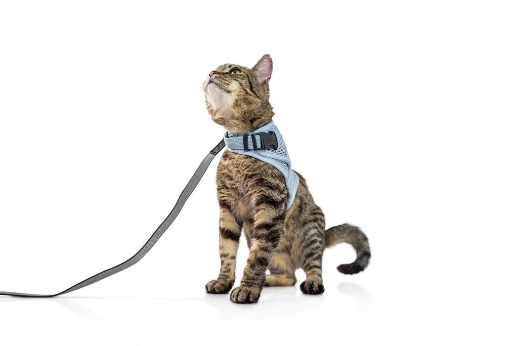 Martingale Calming Cat Walking Harness, Glacier Silver / Small