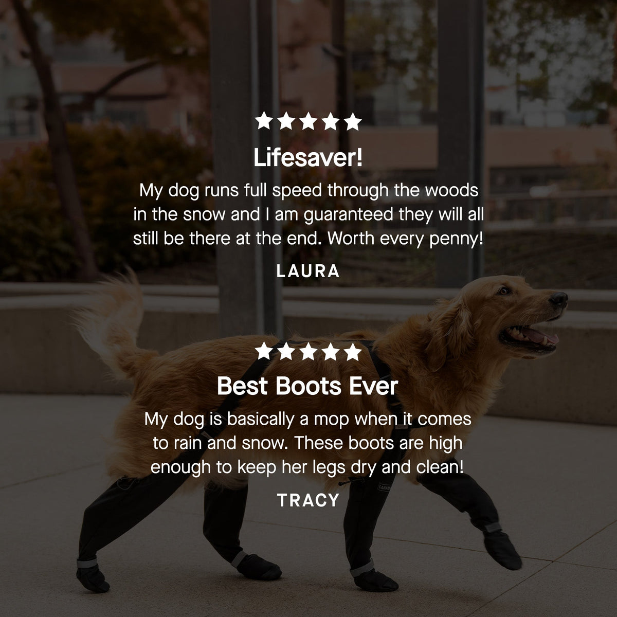 Suspender Boots in Black, Canada Pooch Dog Boots|| color::black|| size::na