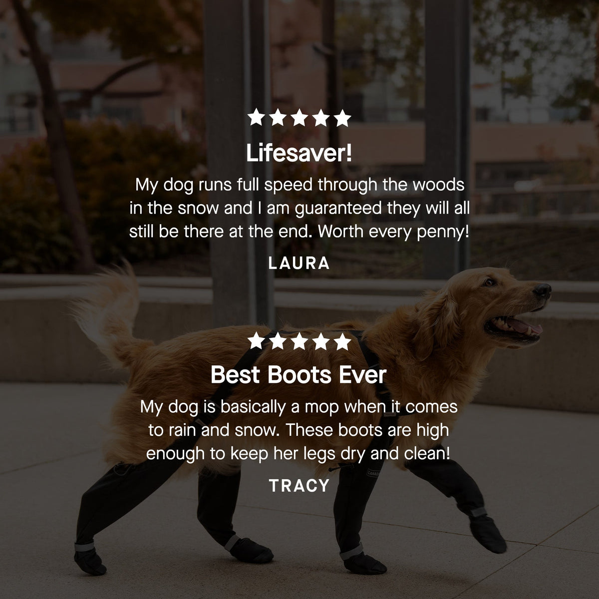 Suspender Boots in Black, Canada Pooch Dog Boots|| color::red|| size::na