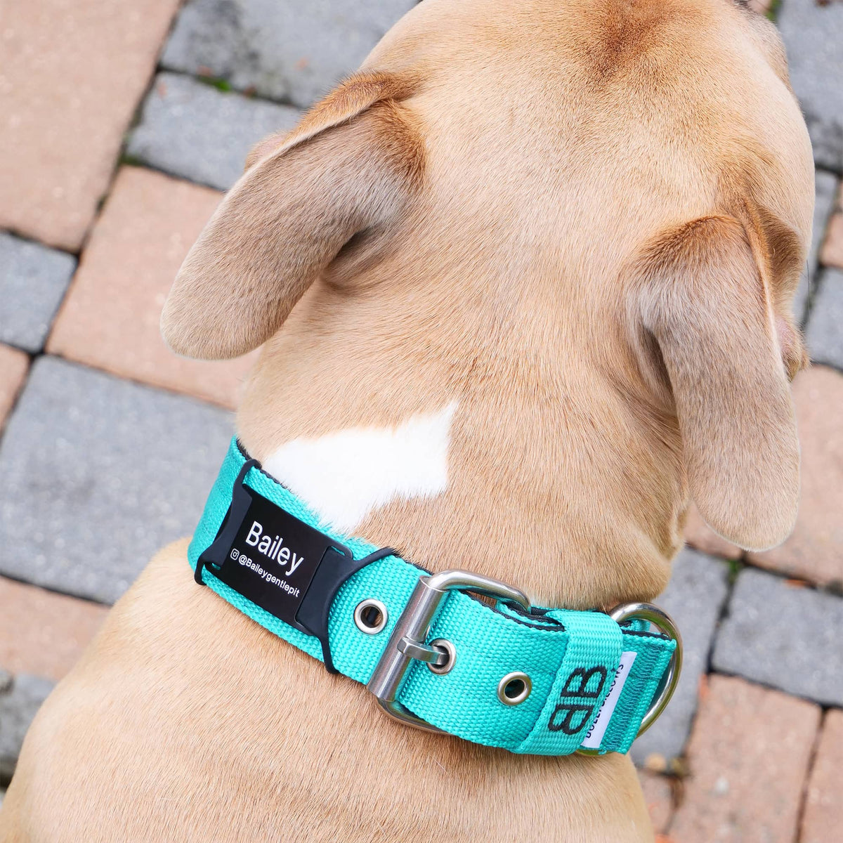 Dog ID Attachment Tag product image 2