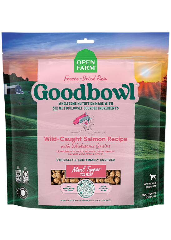 Freeze-Dried Salmon Dog Food, 8 oz