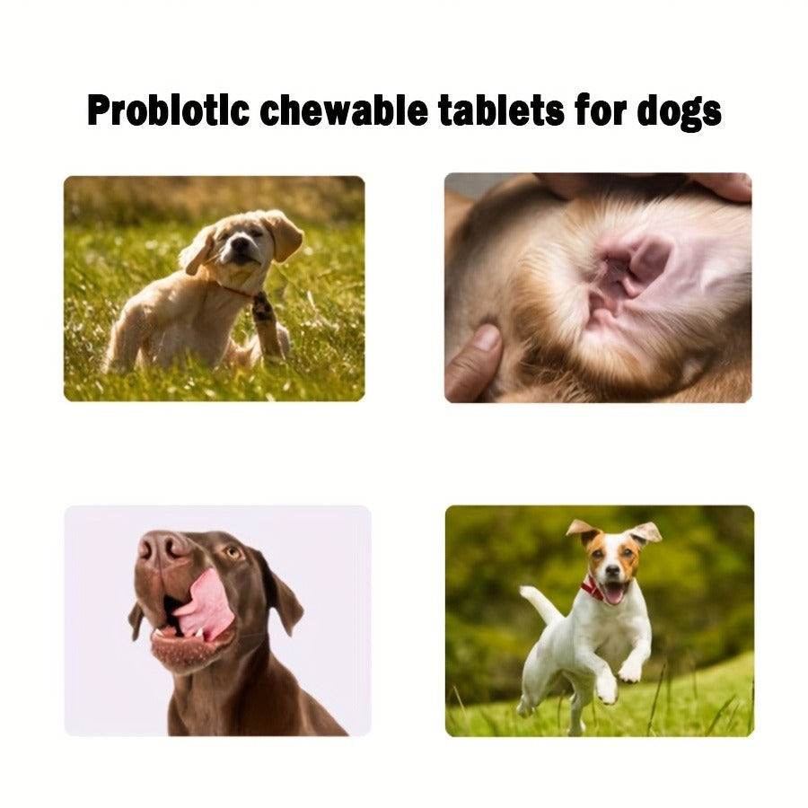 Dog Probiotic Chewable Supplement, 30-Count 4.23-Ounce Container with One- or Three-Piece Packs