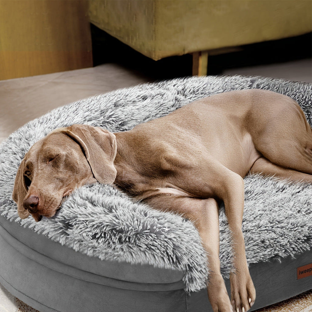 Orthopedic Dog Bed Egg Foam Ultra Soft Washable Cover for Large Medium Small Dogs Aging Pets Rectangle Semicircle Anti-Slip Joint Relief Pet