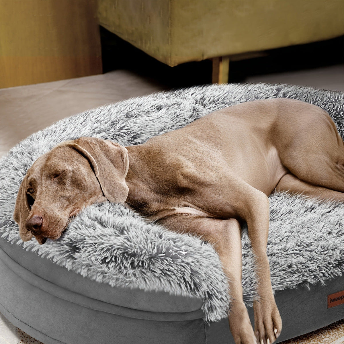Orthopedic Dog Bed Egg Foam Ultra Soft Washable Cover for Large Medium Small Dogs Aging Pets Rectangle Semicircle Anti-Slip Joint Relief Pet