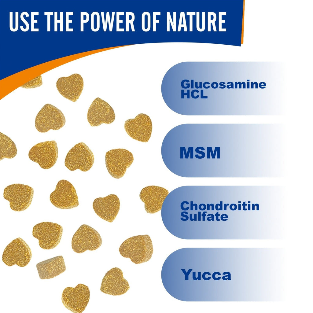 Dog Glucosamine Joint Supplement Chews 120ct | Chicken Flavor Soft Chews with Glucosamine, Chondroitin, MSM & Vitamins for Hip & Joint