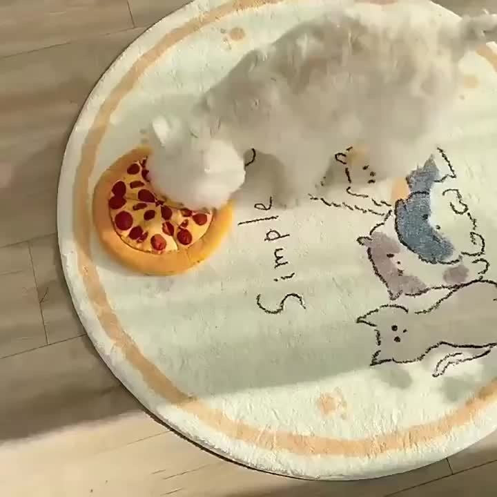 Squeaky Pizza Dog Toy – Plush Pepperoni Pizza & Donut Chew Toy for Dogs, Durable Soft Interactive Toy for All Breeds