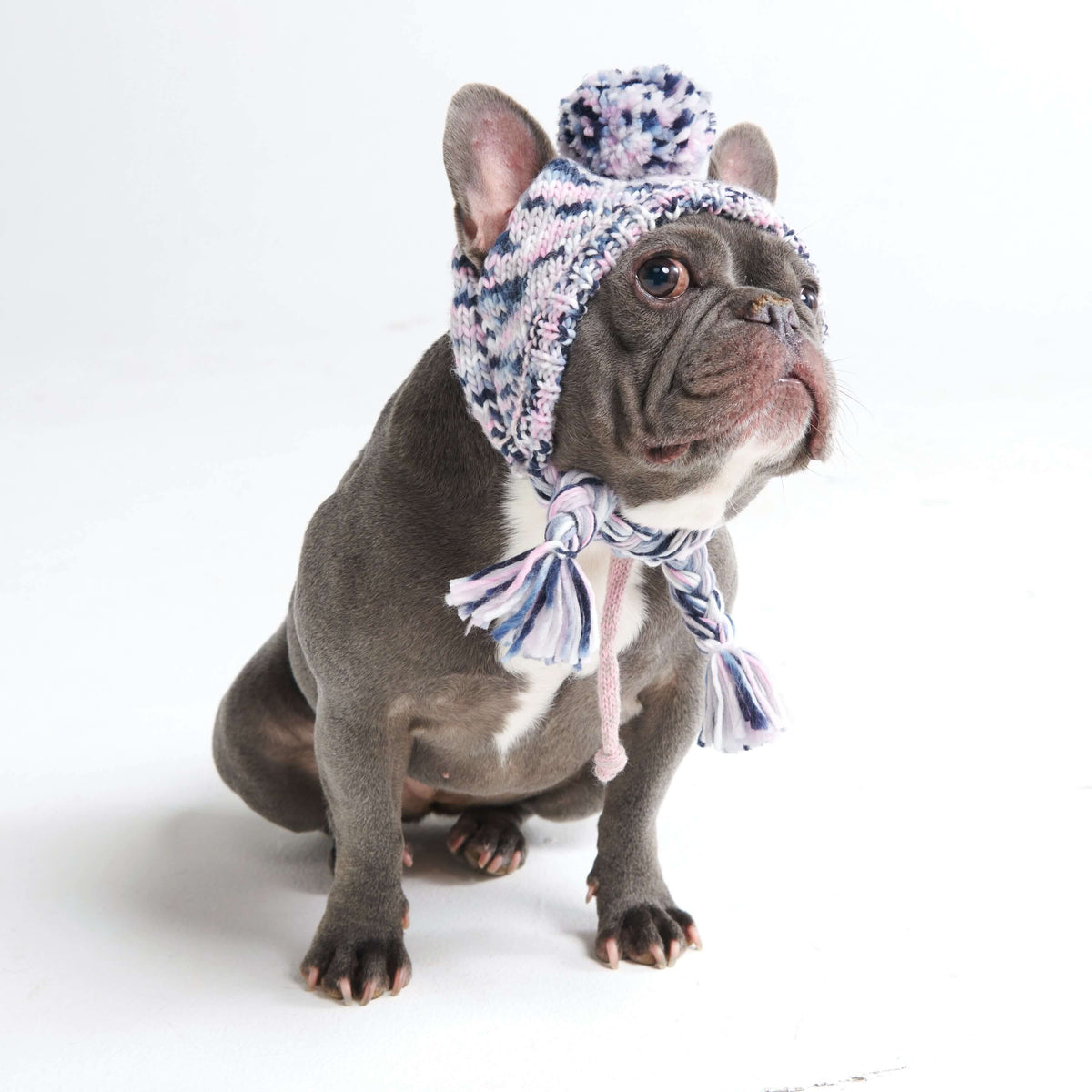 Knit Pom-Pom Dog Beanie, Hat - Pink Grey Blue / S (10-15lbs/4.5-7kg)