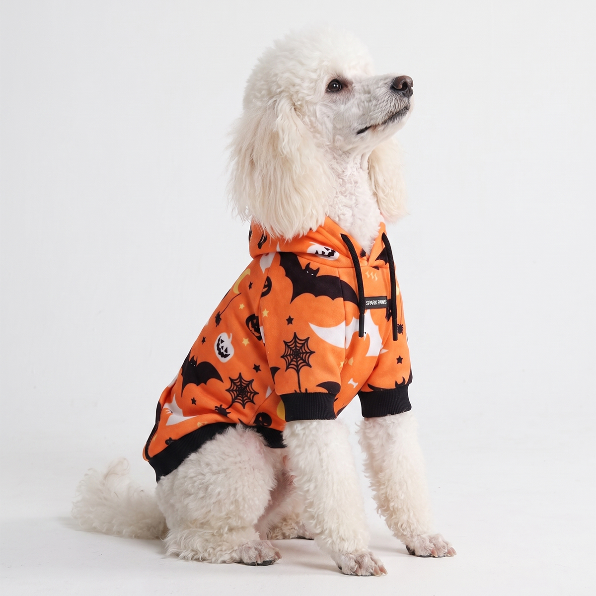 Halloween Dog Hoodie, Halloween Orange Hoodie / 2XL