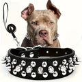 Rivet Dog Collar Bite Resistant with Leash Set, Heavy Duty Metal Buckle Pet Collar for Medium Large Dogs, Adjustable Sizes XS–XXL