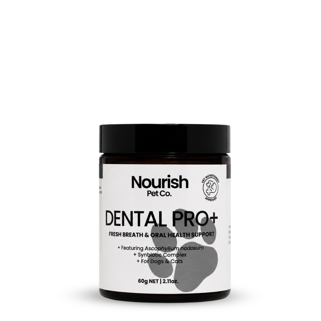 Dental Care Powder product image 1
