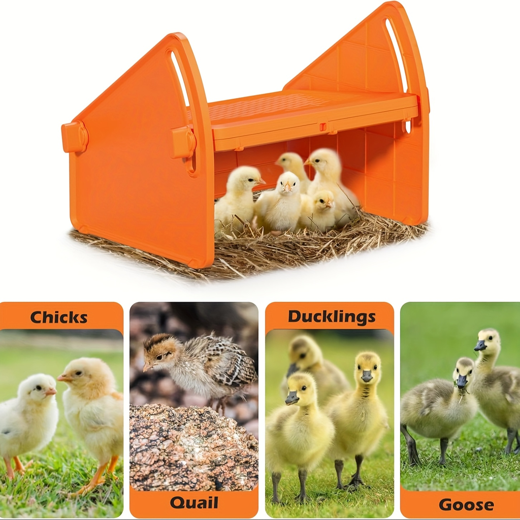 Chick Brooder Plate with Adjustable Height for Up to 10 Chicks, Poultry Warmer for Ducklings, Turkeys