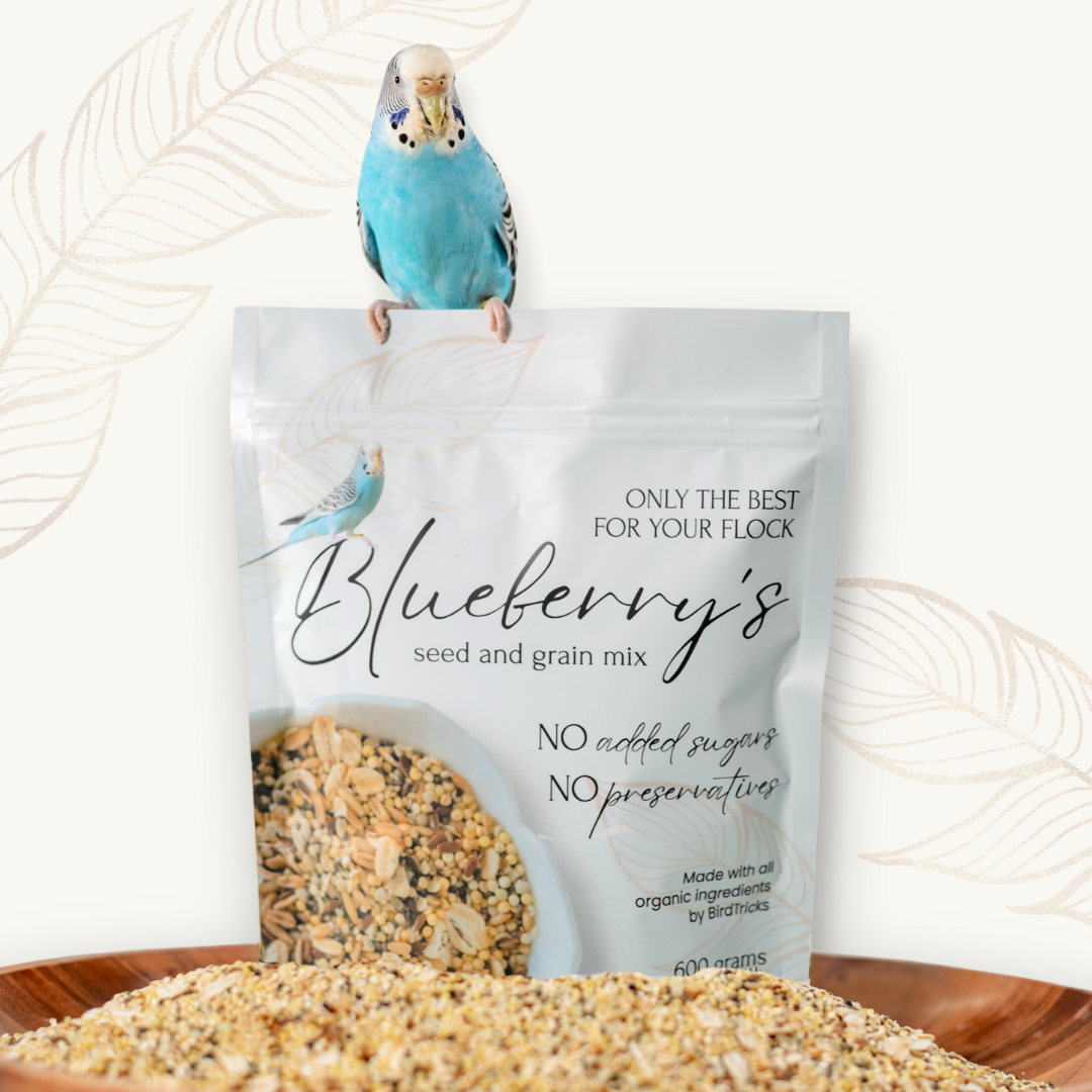 Small Parrot Seed and Grain Mix product image 1