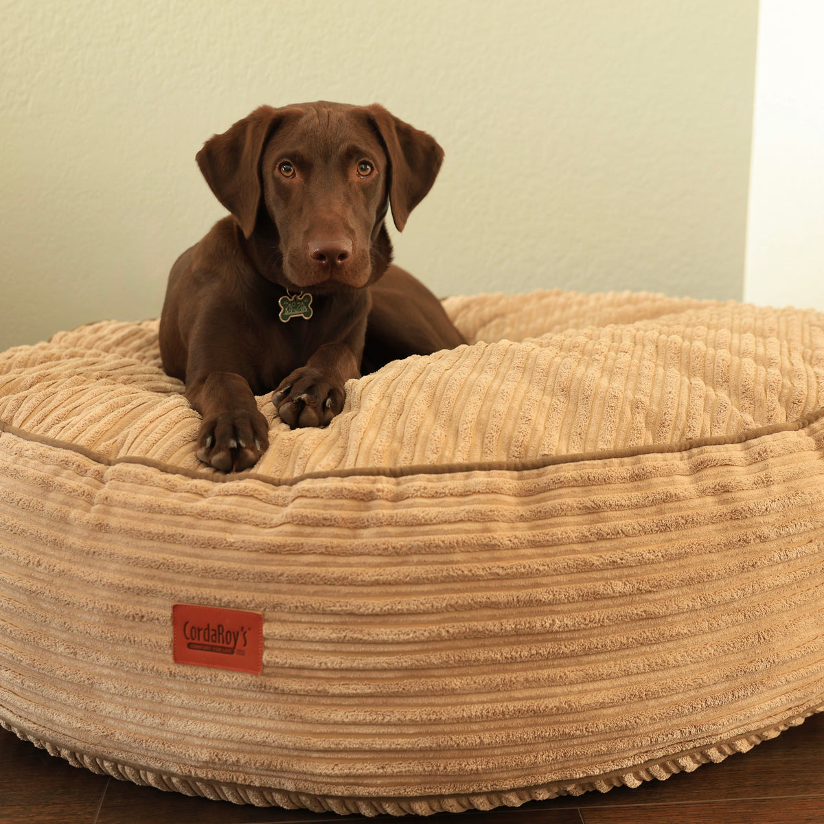 Waterproof 50-Inch Dog Bed product image 2