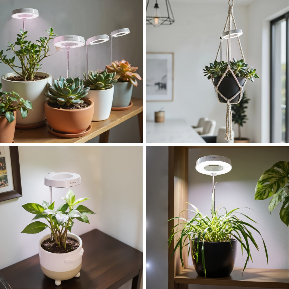 Full Spectrum LED Grow Lights for Indoor Plants, 3-Pack with Auto Timer 3/6/9H, 4 Dimmable Levels & Adjustable Height