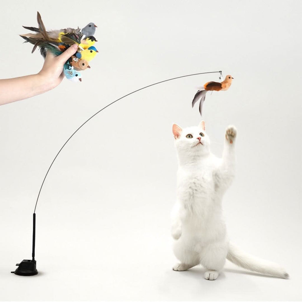 Leos paw Interactive Bird Simulation Cat Toy Set | Leo's Paw