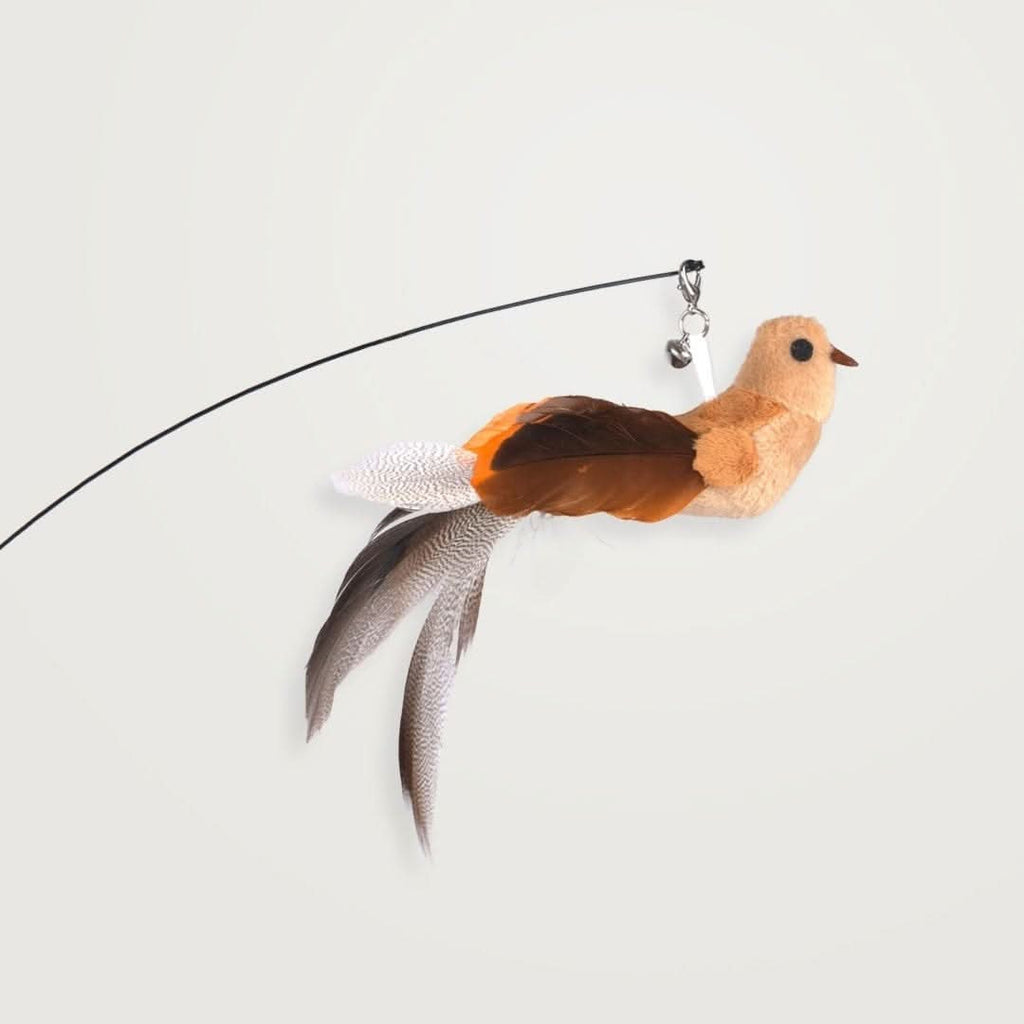 Leos paw Interactive Bird Simulation Cat Toy Set | Leo's Paw