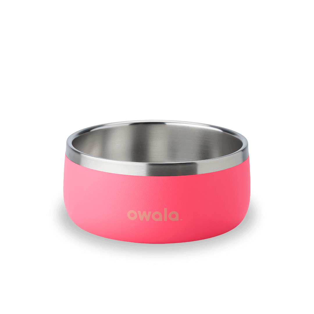 Stainless Steel Pet Bowl 3 cups / Hyper Flamingo
