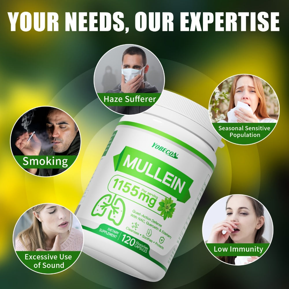 Herbal Supplement with YOBECON Label, Mullein NAC Quercetin Elderberry 1155mg per Serving, 120 Capsules