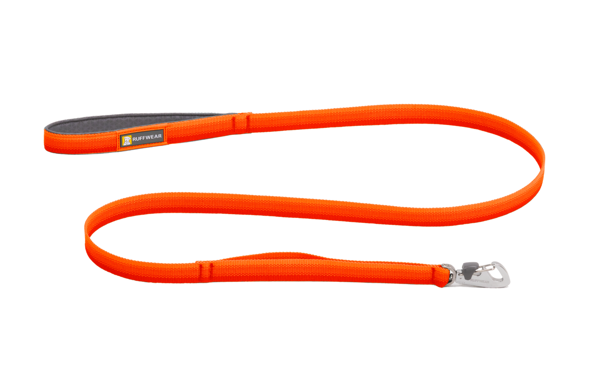 Padded Handle Standard Dog Leash, Blaze Orange (850)