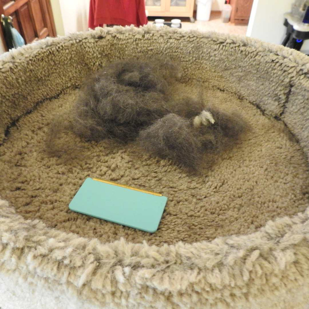 Reusable Mini Pro and Max Pet Hair Removal Kit product image 5